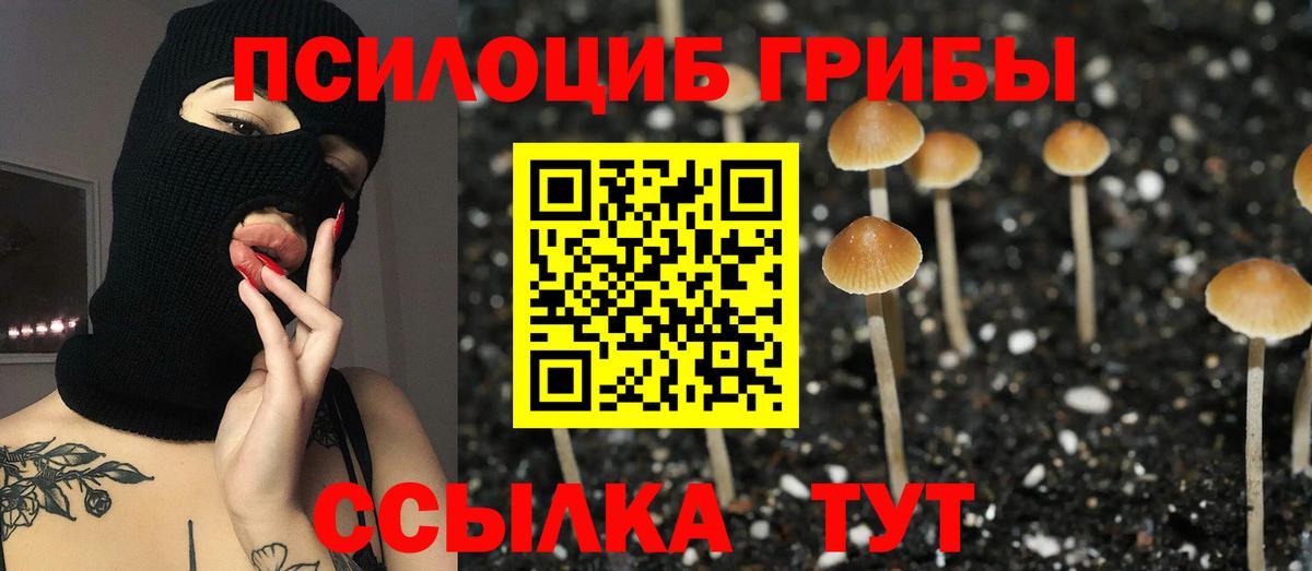 Галлюциногенные грибы GOLDEN TEACHER Буйнакск